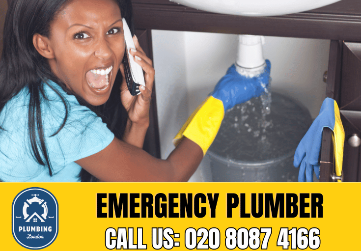 emergency plumber Hammersmith